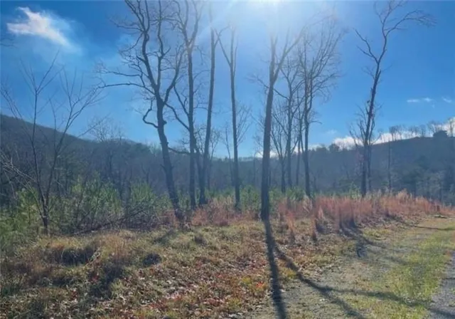 a backyard of a house