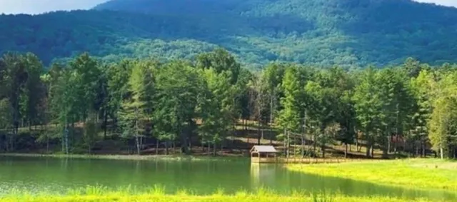 a view of a swimming pool with a yard and large trees