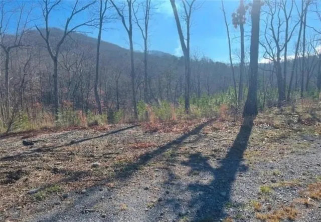 a backyard of a house