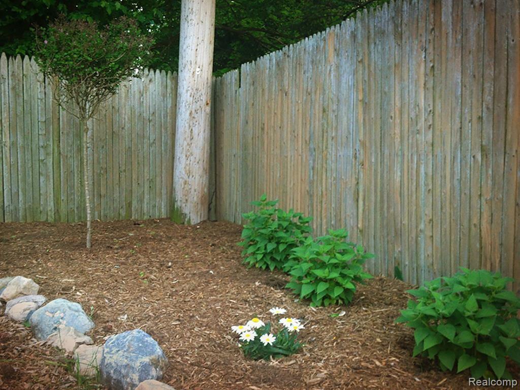 164 Maplefield Road Pleasant Ridge, MI 48069 - Photo 27 of 34 yard lg 8.jpg