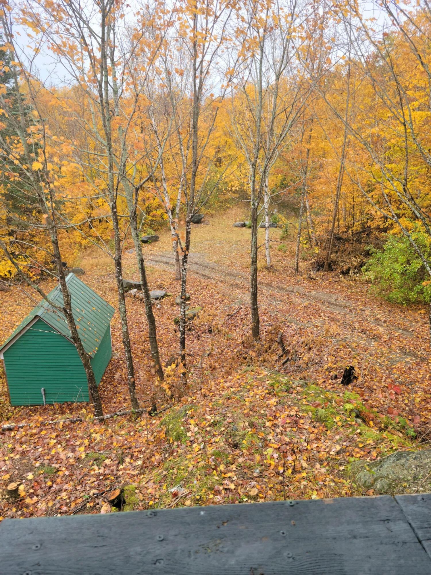 381 Ackley Pond Rd Mount Mount Chase, ME 04765 - Photo 13 of 13 10