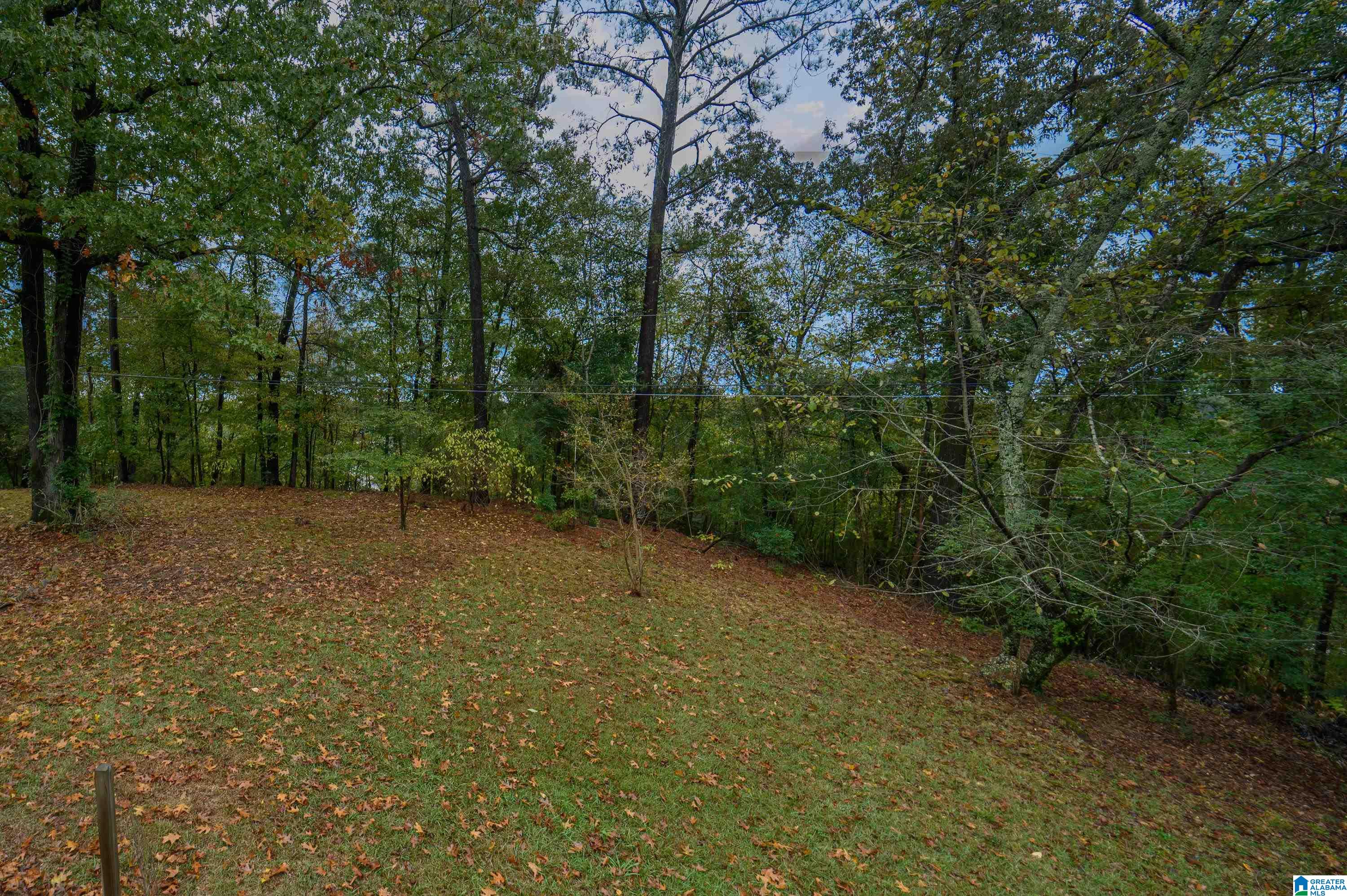 2307 Lime Rock Road Birmingham, AL 35216 - Photo 52 of 56