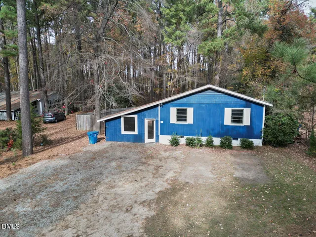 a road view with large trees