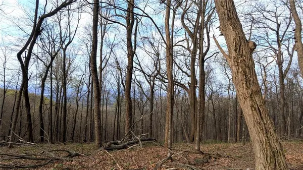 $80,000 | 7188 Ridgeview Drive, Big Canoe, GA 30143