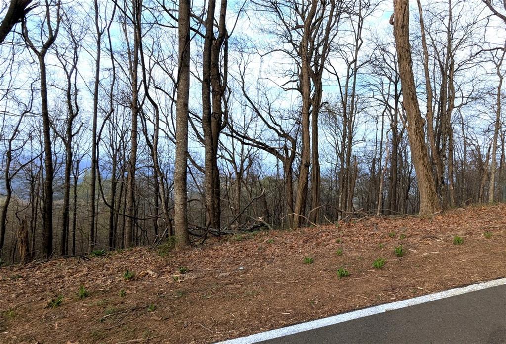 7188 Ridgeview Drive Big Canoe, GA 30143 - Photo 2 of 5