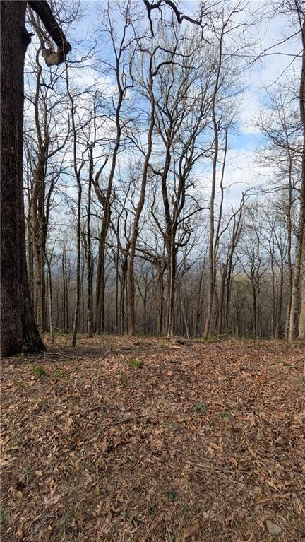 7188 Ridgeview Drive Big Canoe, GA 30143 - Photo 3 of 5