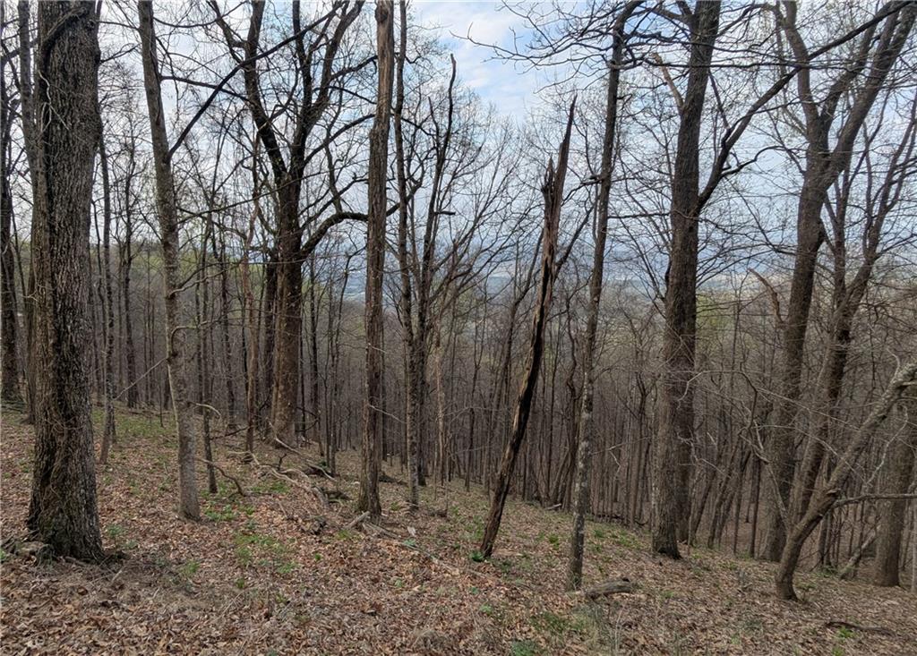 7188 Ridgeview Drive Big Canoe, GA 30143 - Photo 4 of 5