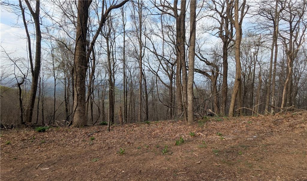 7188 Ridgeview Drive Big Canoe, GA 30143 - Photo 5 of 5