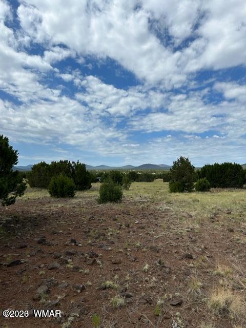 N3109 Rd Vernon Az 85940 Road Vernon, AZ 85940 - Photo 15 of 17