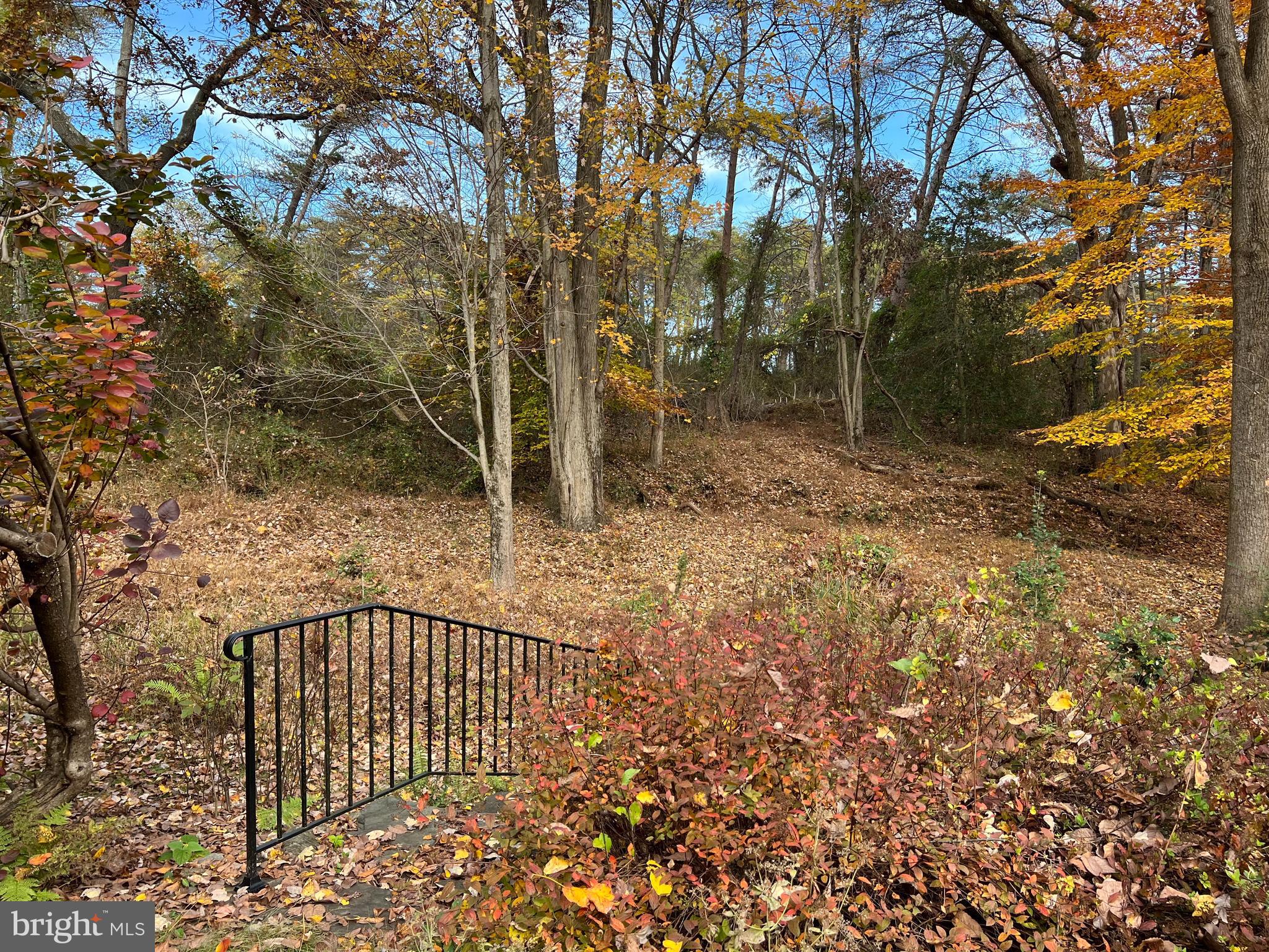 1301 Copper Hill Road Baltimore, MD 21209 - Photo 30 of 37 View of Lake Roland Woods