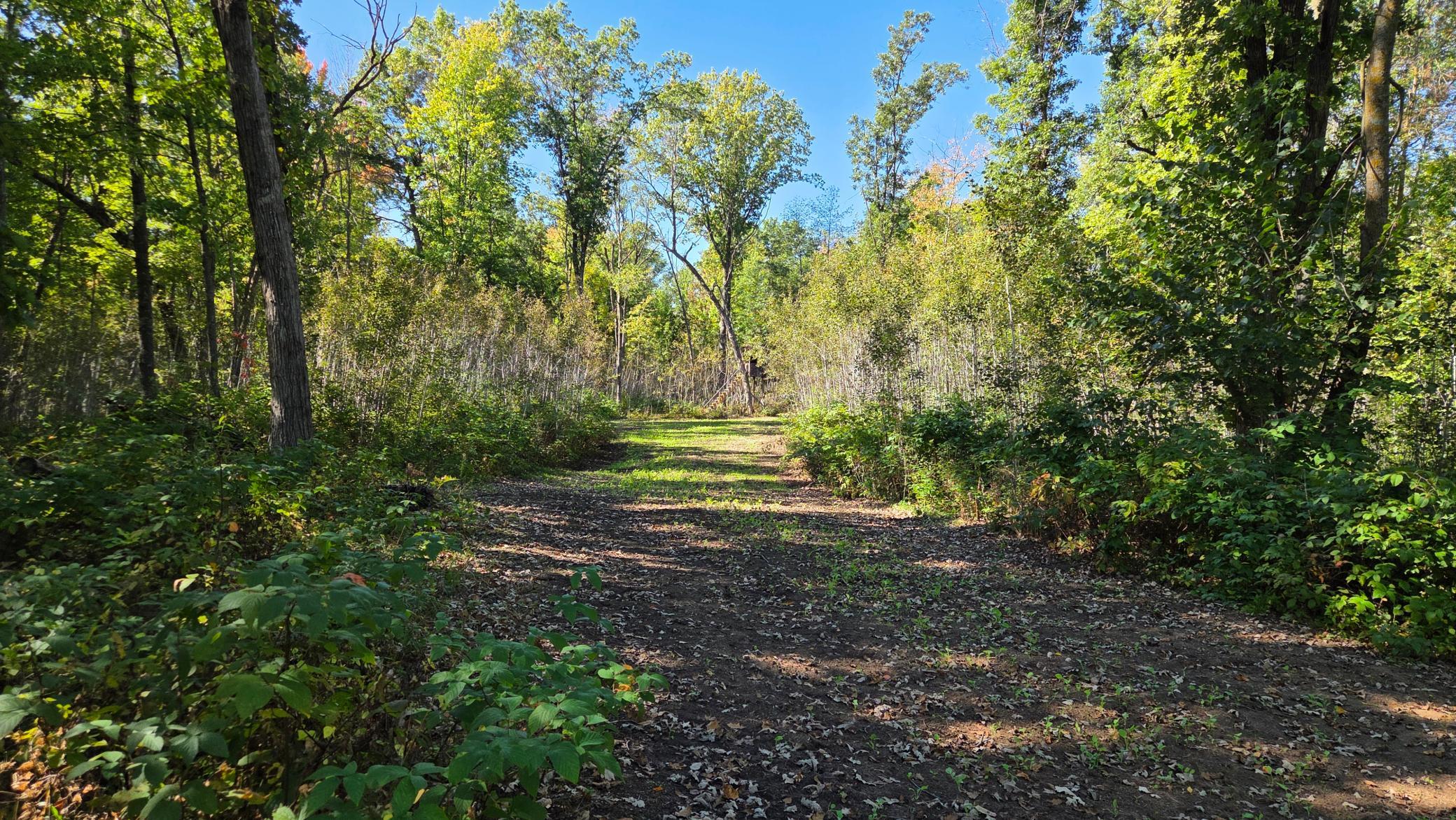 Xxx Xxx Herrick Road Frederic, WI 54837 - Photo 1 of 21