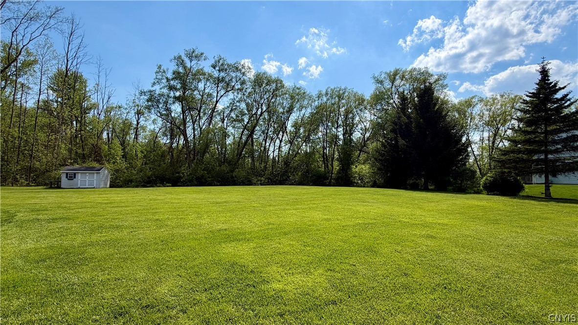 6232 Alabama Path Cicero, NY 13039 - Photo 4 of 11
