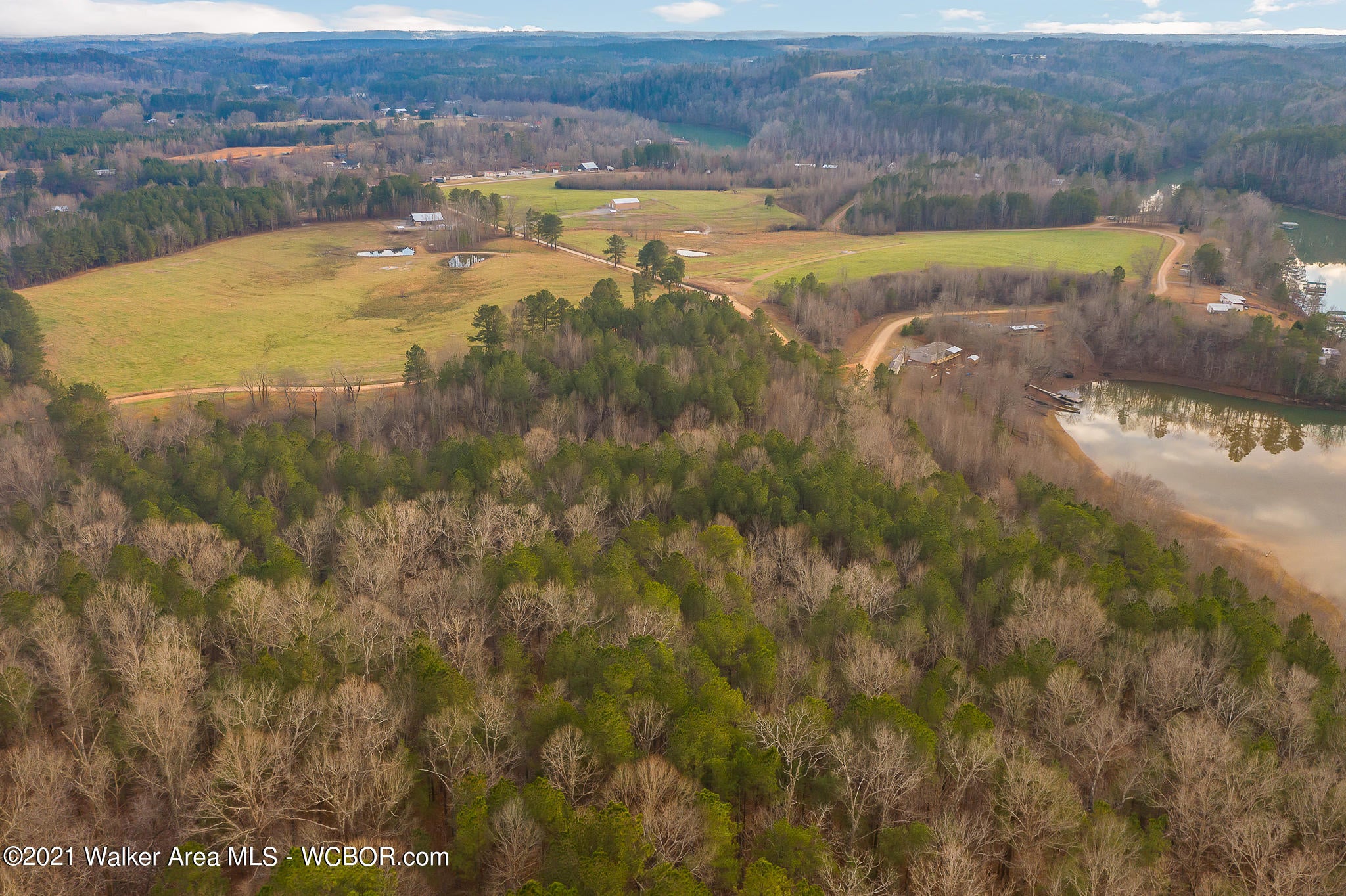 113 County Road Double Springs, AL 35553 - Photo 28 of 37 Gallery Image 28