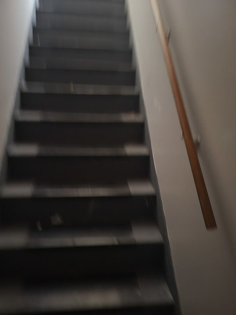 6016 South Carpenter Street Chicago, IL 60621 - Photo 8 of 15 a view of entryway