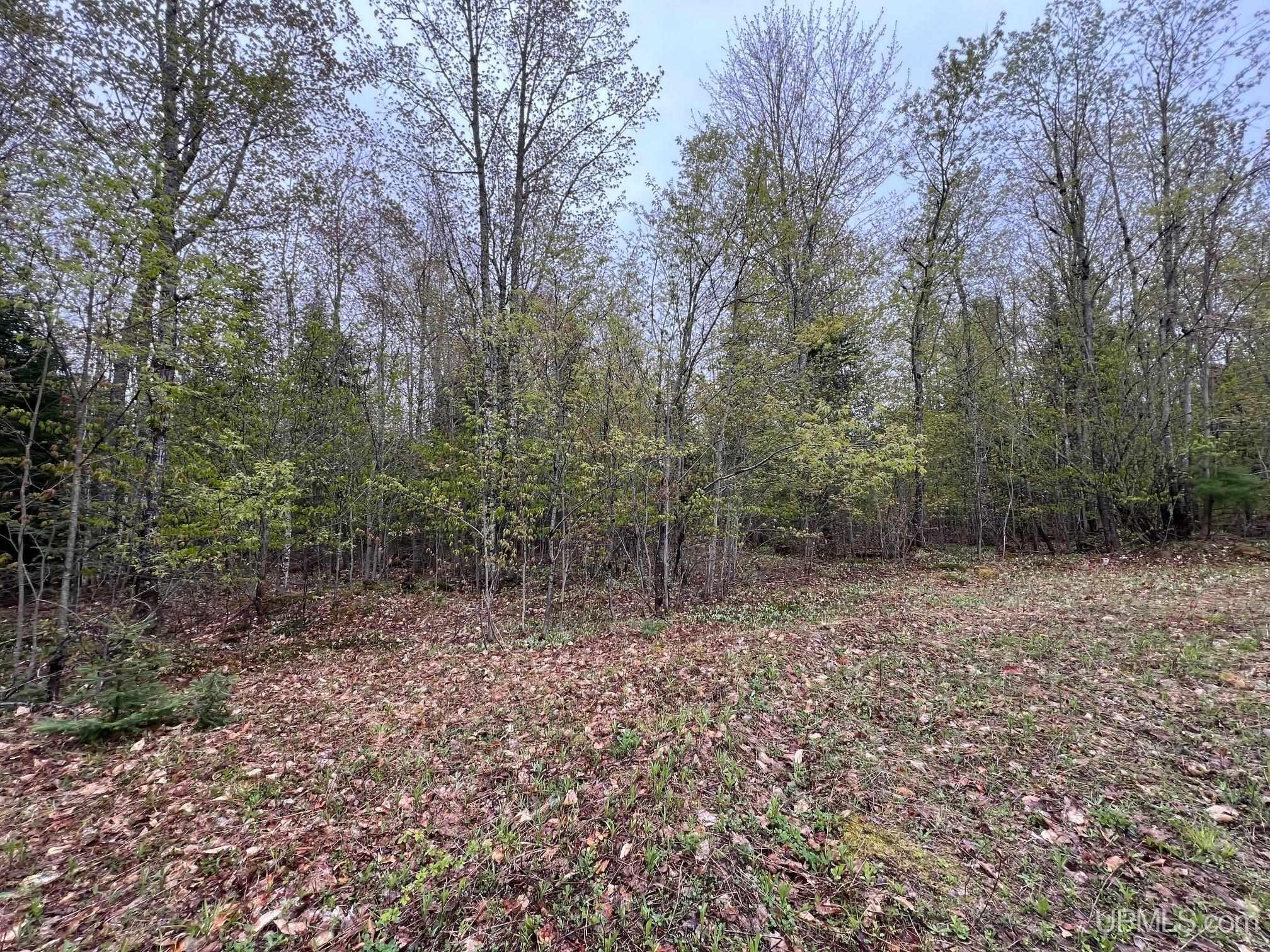 Tbd Harborview Drive, Unit 9 Munising, MI 49862 - Photo 1 of 4