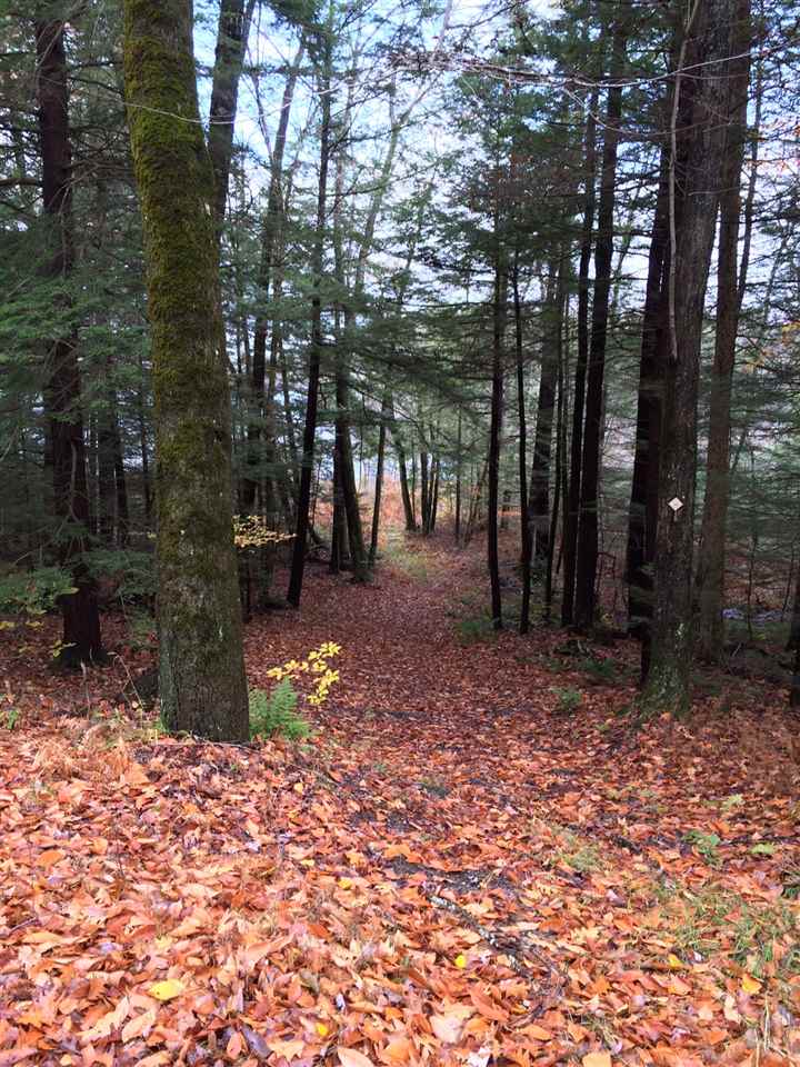 210 Pine Cliff Road Alstead, NH 03602 - Photo 13 of 13