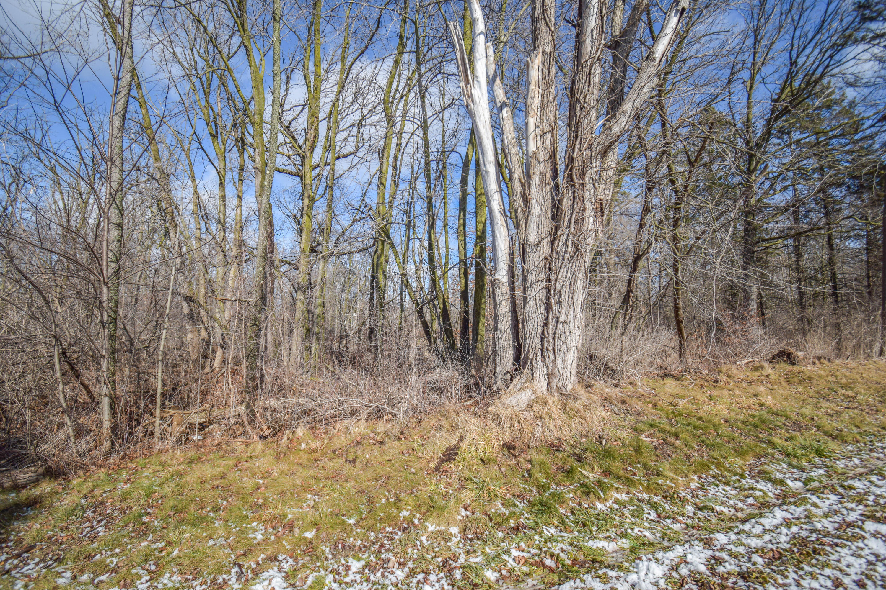 3680 East Fitzsimmons Road Oak Creek, WI 53154 - Photo 5 of 6 Wooded lot