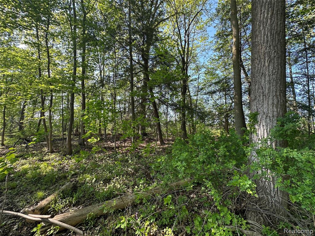 4233 State Road Fort Gratiot, MI 48059 - Photo 64 of 64
