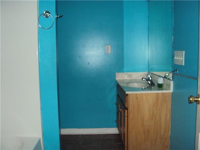229 High Street Alexandria, TN 37012 - Photo 9 of 10 hall bath