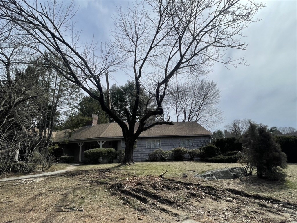 53 Crestview Road Belmont, MA 02478 - Photo 3 of 8 a house that has a tree in front of it