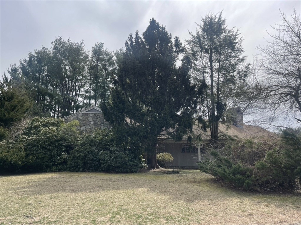 53 Crestview Road Belmont, MA 02478 - Photo 4 of 8 a view of patio with trees