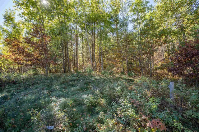 $29,950 | 91-xx East Evergreen Avenue, Solon Springs, WI 54873