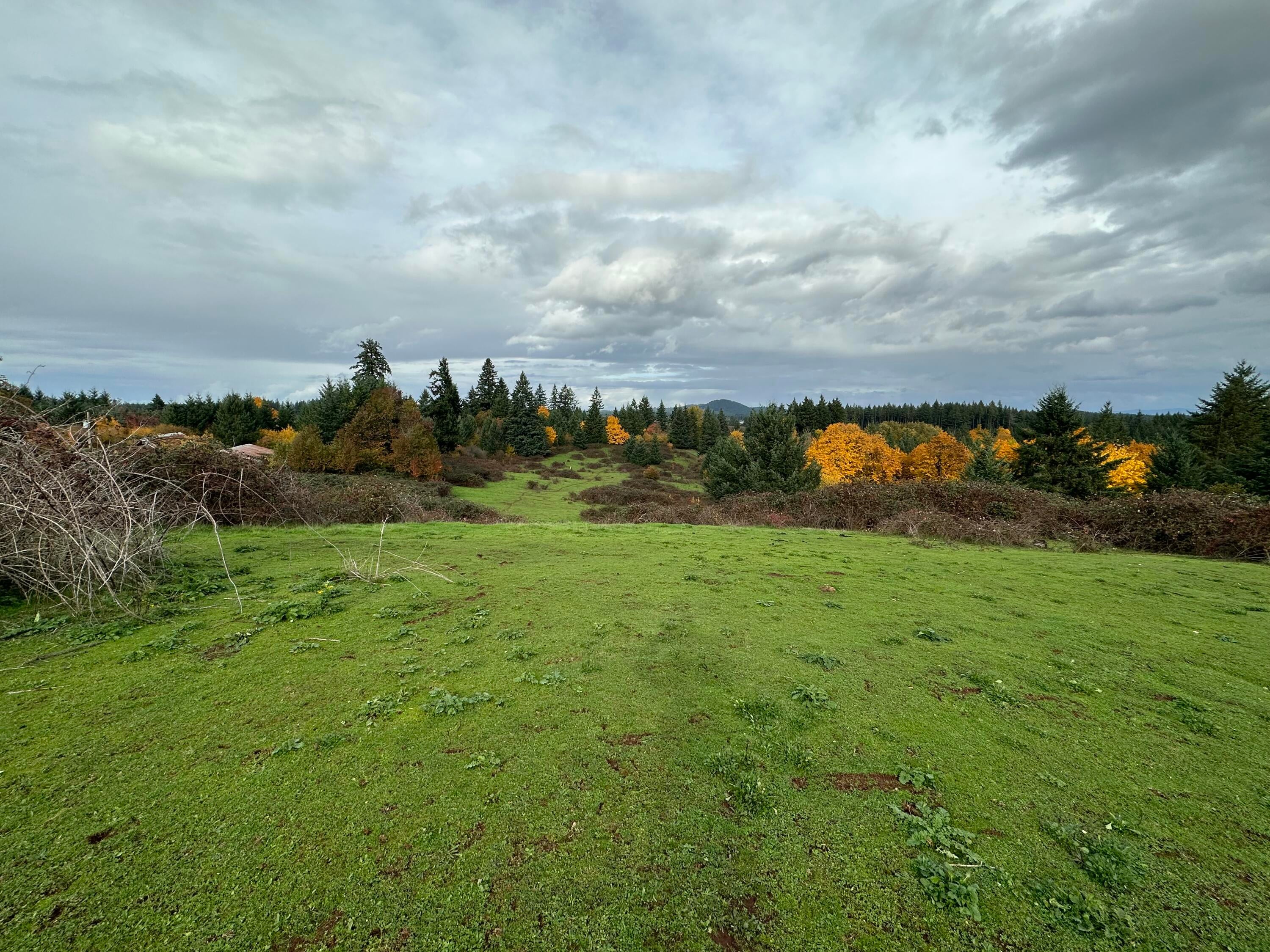 28003 South Gard Road Mulino, OR 97042 - Photo 2 of 43 IMG_4293