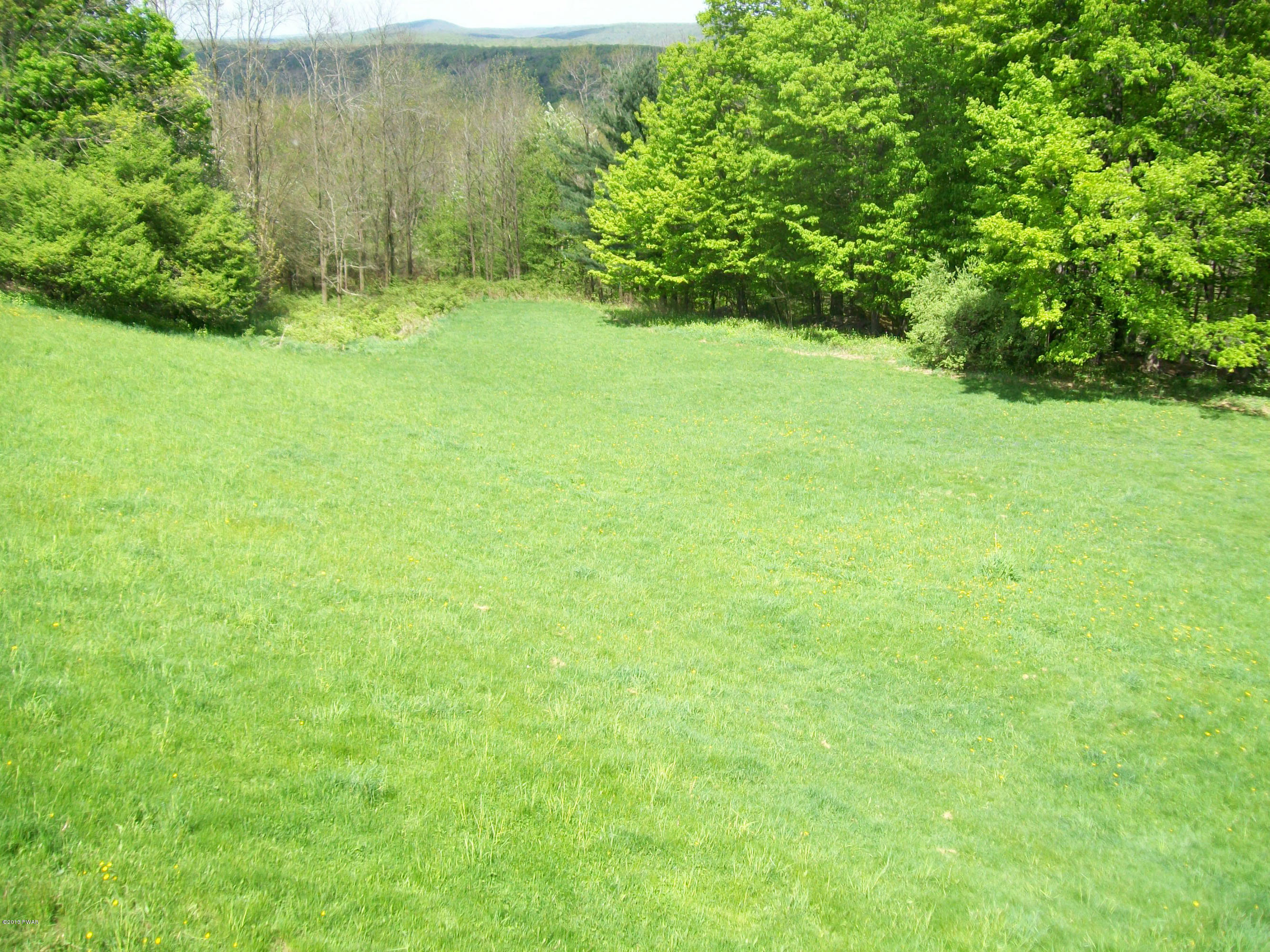Dyberry Hts Road Honesdale, PA 18431 - Photo 7 of 8