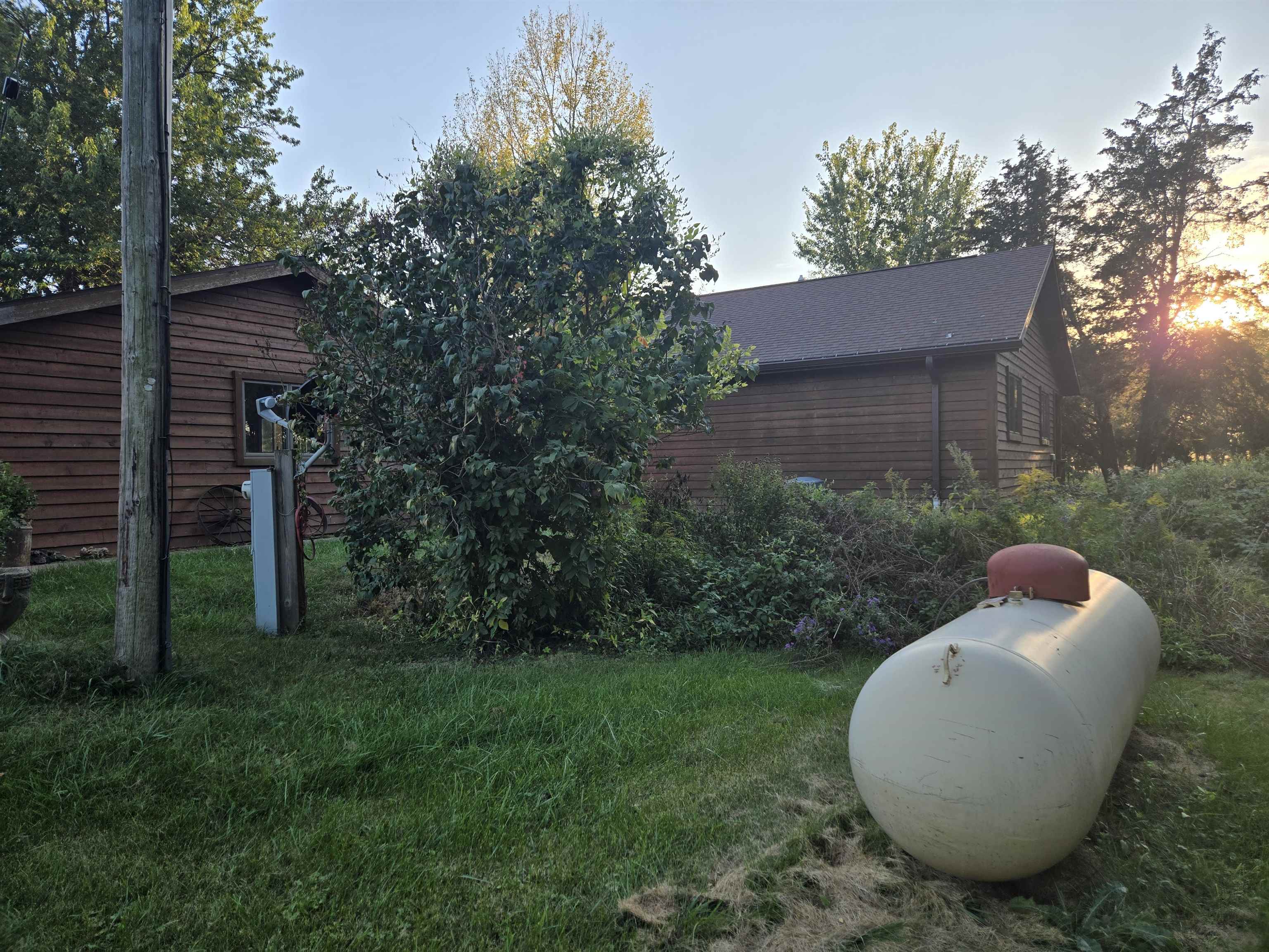 17065 Highway 64 Polo, IL 61064 - Photo 4 of 26 a view of a backyard with garden and plants