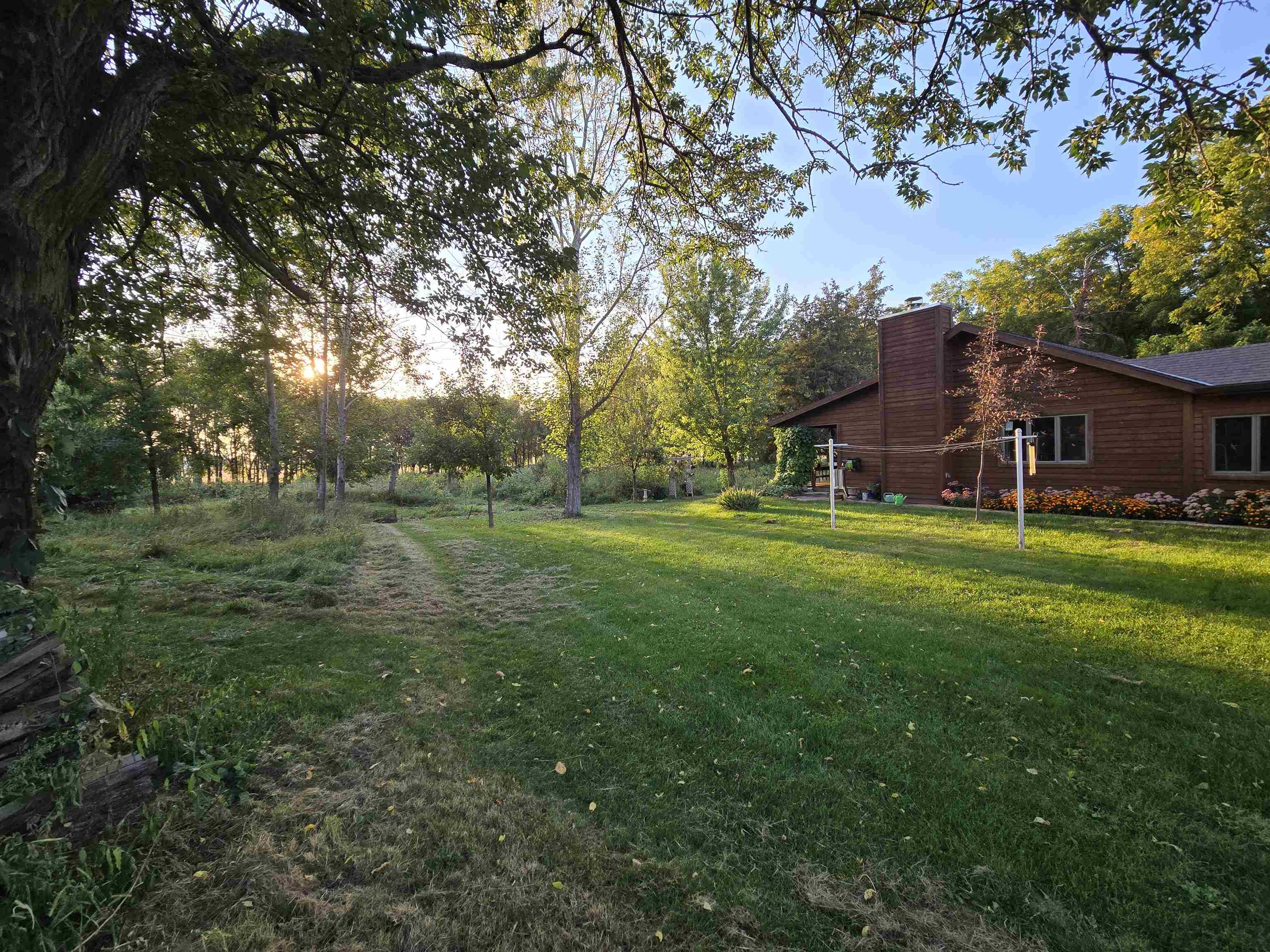 17065 Highway 64 Polo, IL 61064 - Photo 10 of 26 a view of a park with large trees
