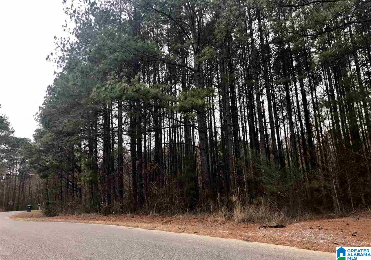 4040 Sportsman Lake Road, Unit 1 Odenville, AL 35120 - Photo 9 of 11
