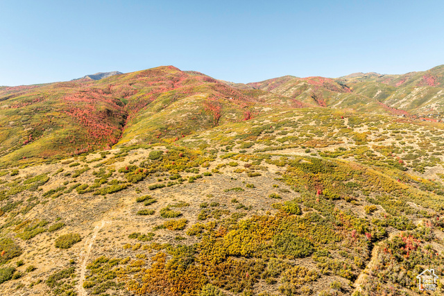 Undisclosed Address Midway, UT 84049 - Photo 23 of 28 View of mountain background