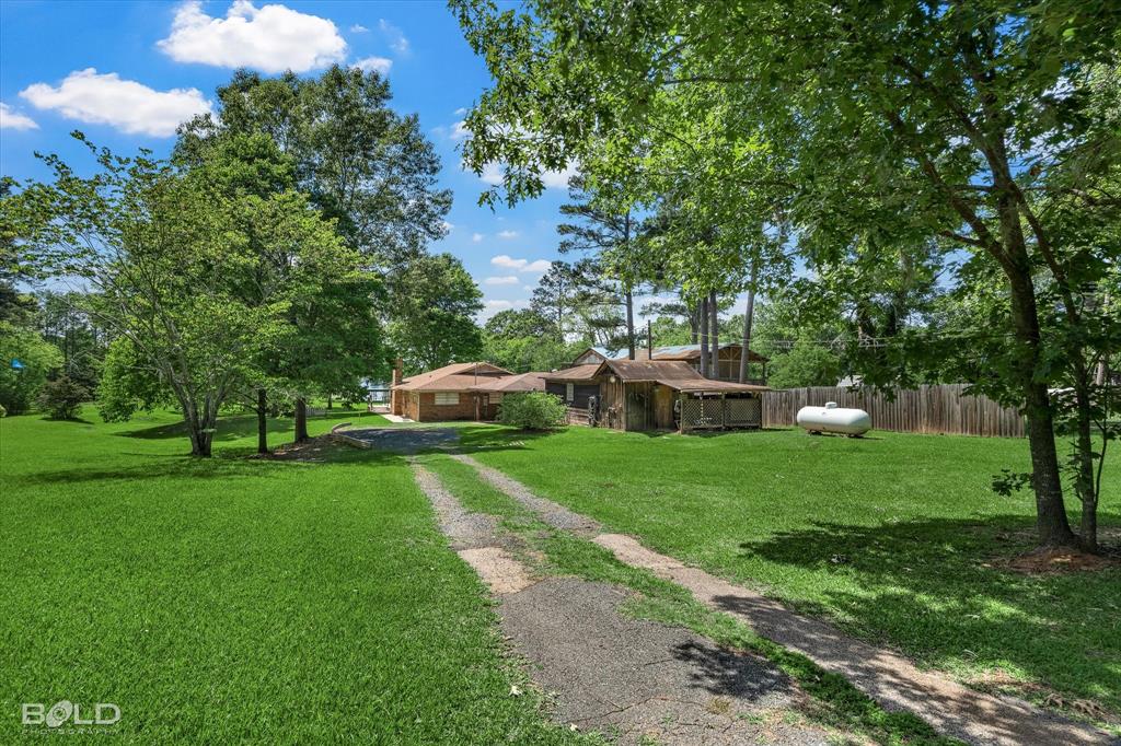 225 Marie Road Ringgold, LA 71068 - Photo 8 of 40 Extensive green lawn with mature trees and a gravel driveway leading to the main residence