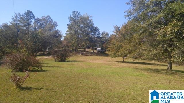 4208 Blue Cutt Road Pell City, AL 35128 - Photo 28 of 29