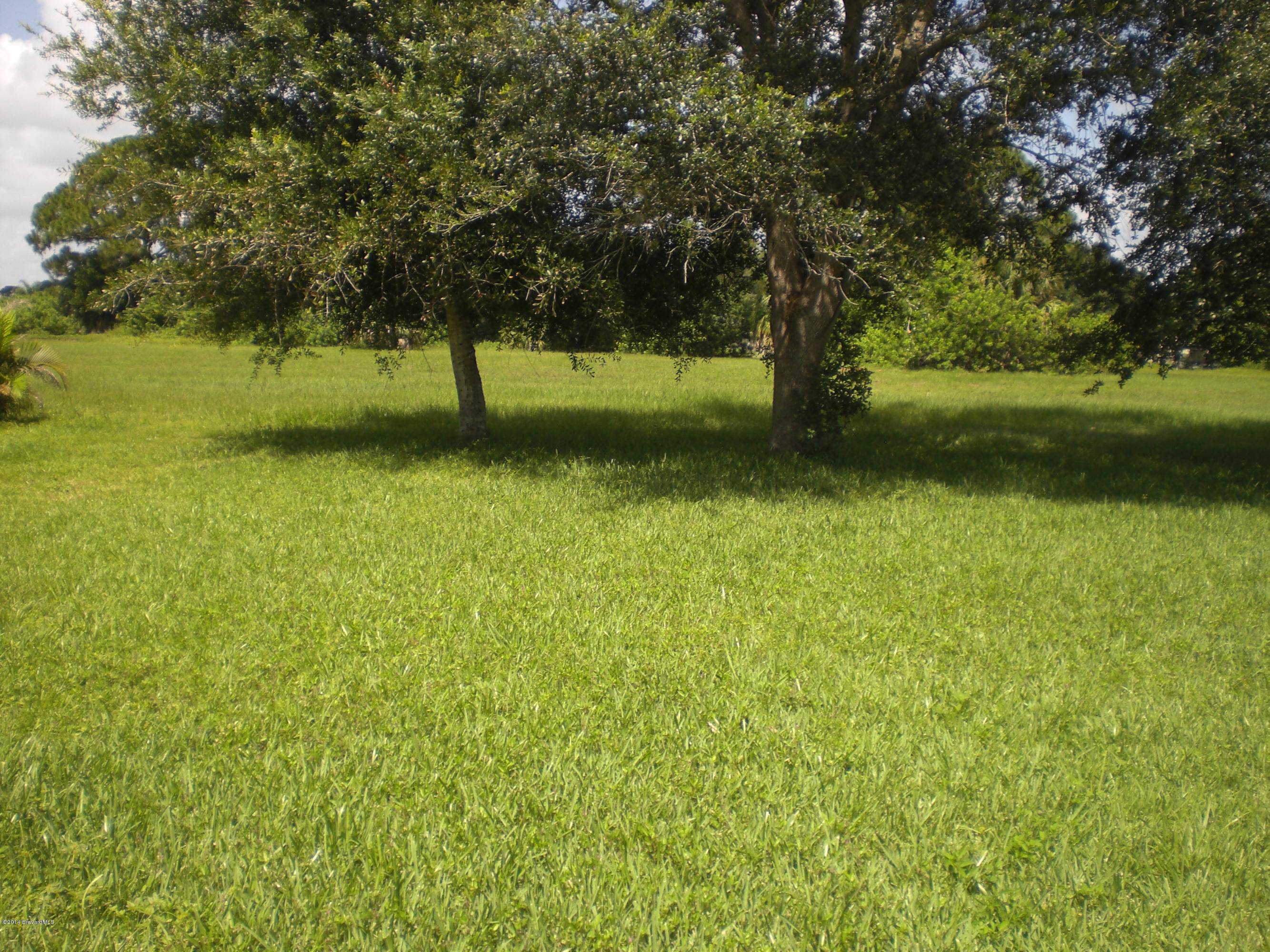 1180 Cotton Road Northeast Palm Bay, FL 32905 - Photo 18 of 18 a view of outdoor space with green field and trees