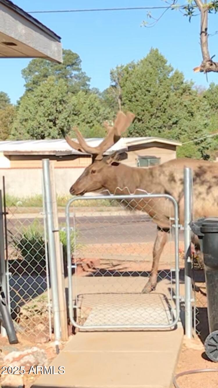 800 East Frontier Street Payson, AZ 85541 - Photo 38 of 40 IMG_3023