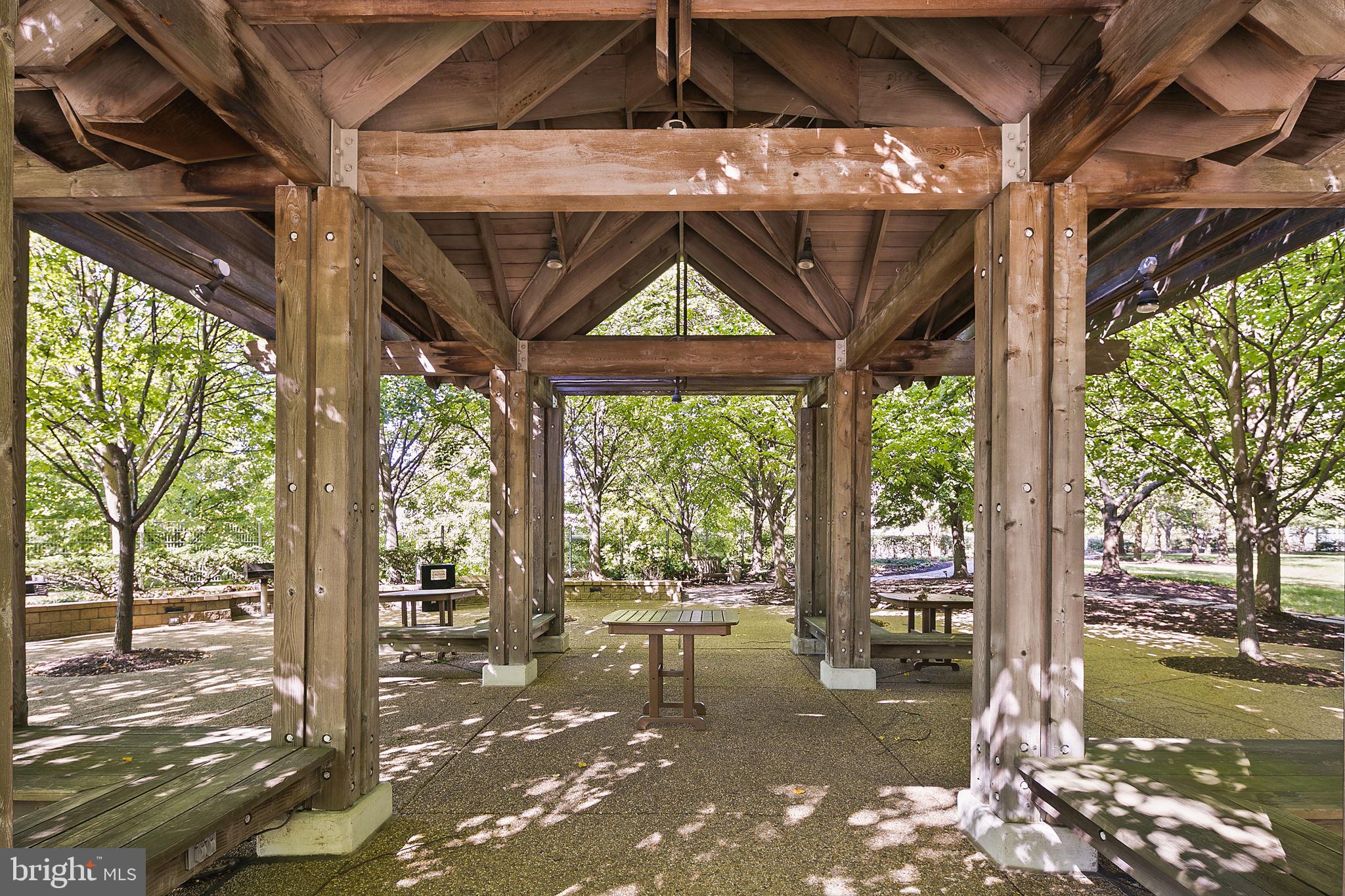 4141 North Henderson Road, Unit 1218 Arlington, VA 22203 - Photo 33 of 50 BBQ and Picnic area