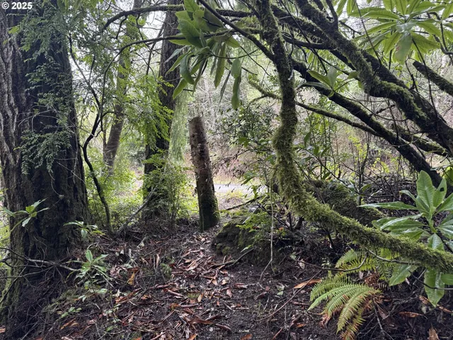 $35,000 | 1 Pettit Lane, North Bend, OR 97459