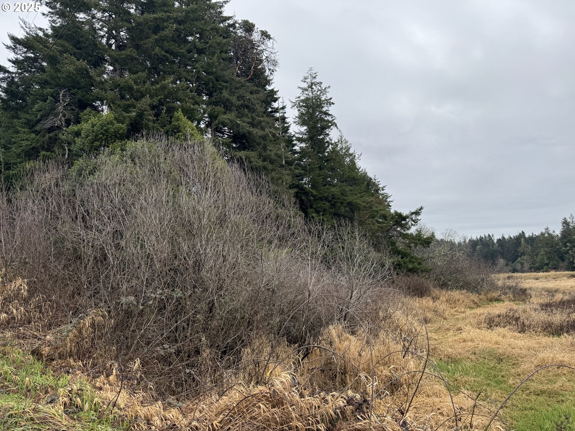 1 Pettit Lane North Bend, OR 97459 - Photo 12 of 14