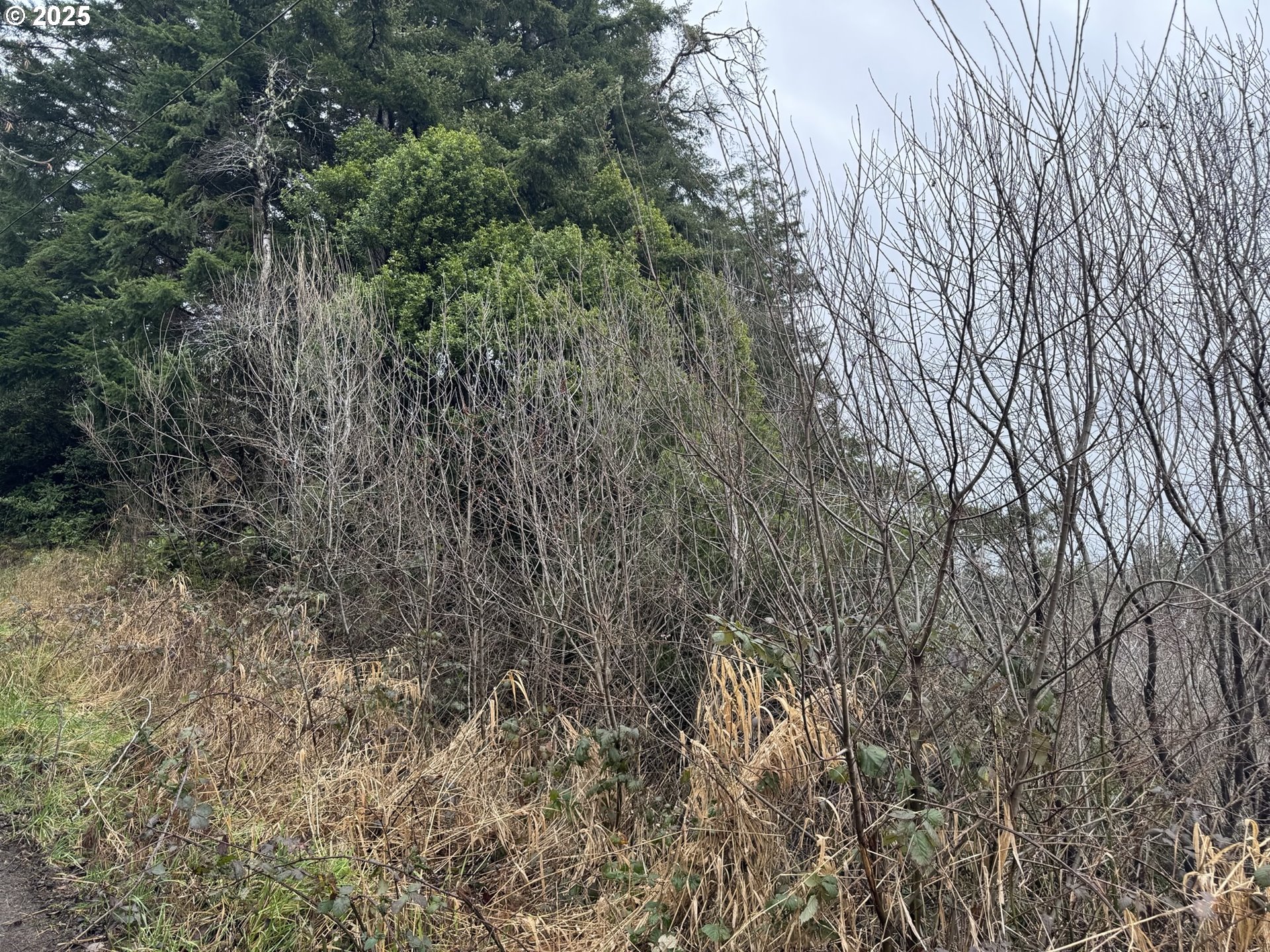 1 Pettit Lane North Bend, OR 97459 - Photo 13 of 14