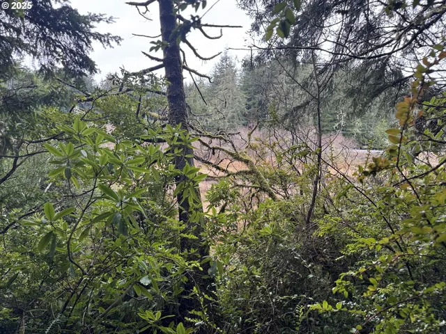 $35,000 | 1 Pettit Lane, North Bend, OR 97459