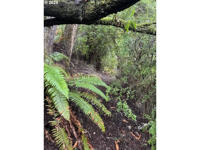 $35,000 | 1 Pettit Lane, North Bend, OR 97459