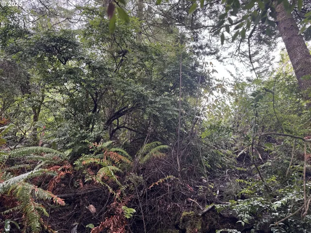 $35,000 | 1 Pettit Lane, North Bend, OR 97459