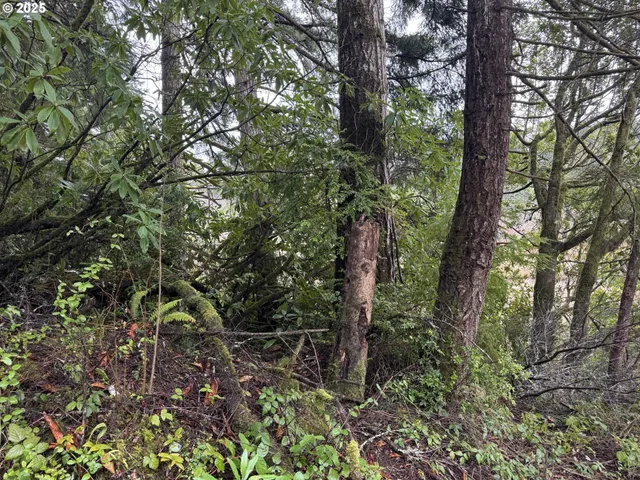 $35,000 | 1 Pettit Lane, North Bend, OR 97459