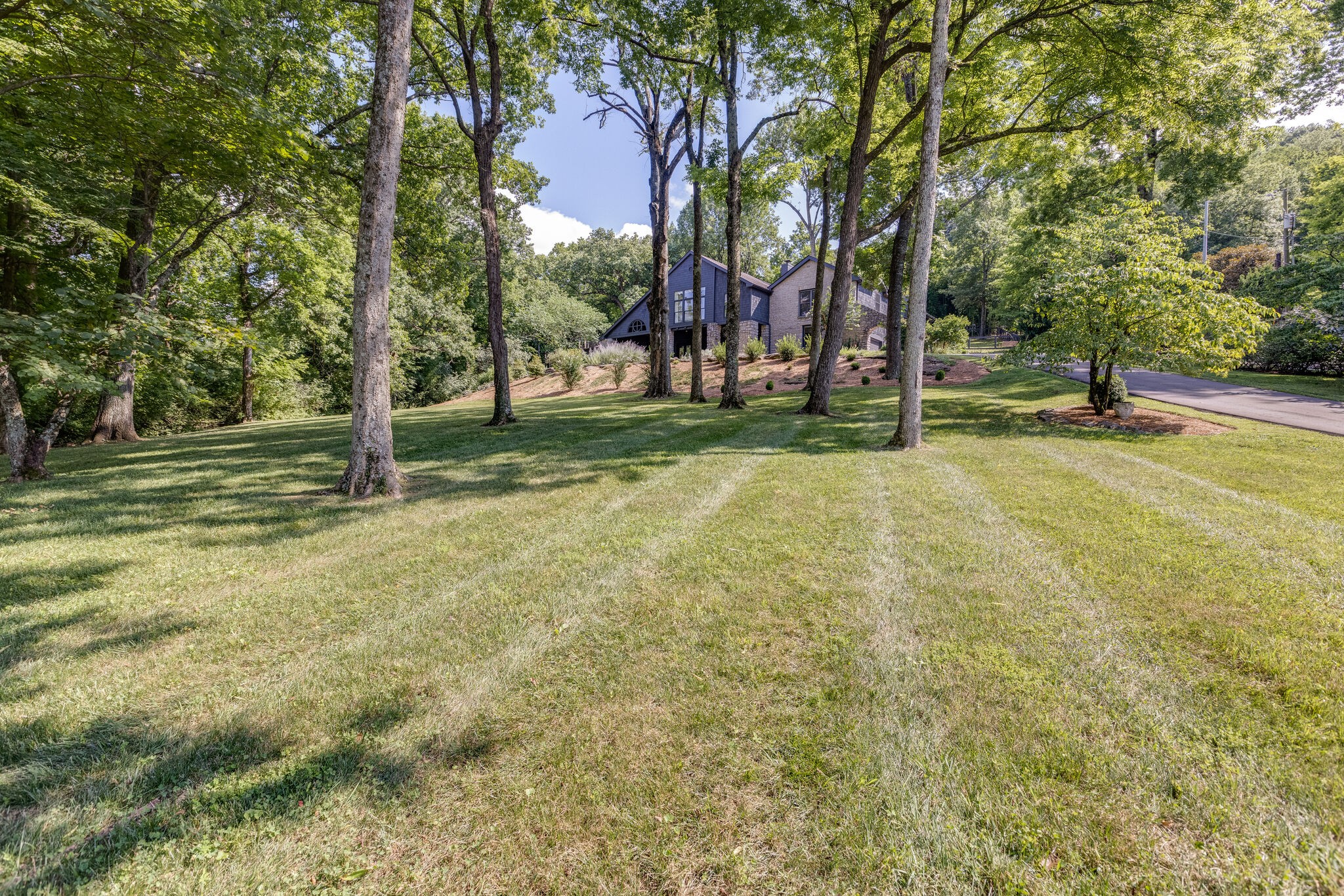 915 Overton Lea Road Nashville, TN 37220 - Photo 3 of 47 a view of a tree in a yard
