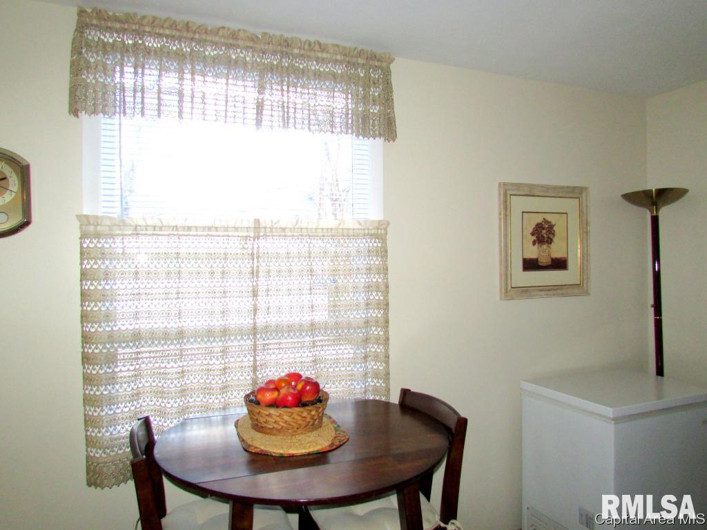 728 New Street Springfield, IL 62704 - Photo 14 of 24