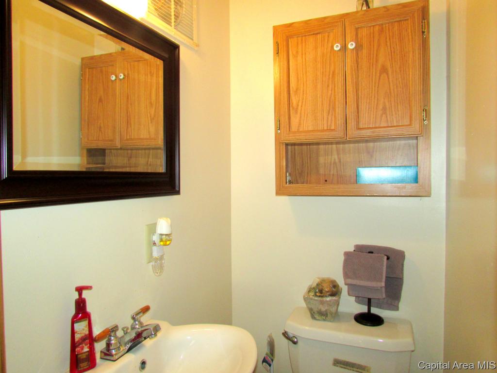 728 New Street Springfield, IL 62704 - Photo 9 of 24