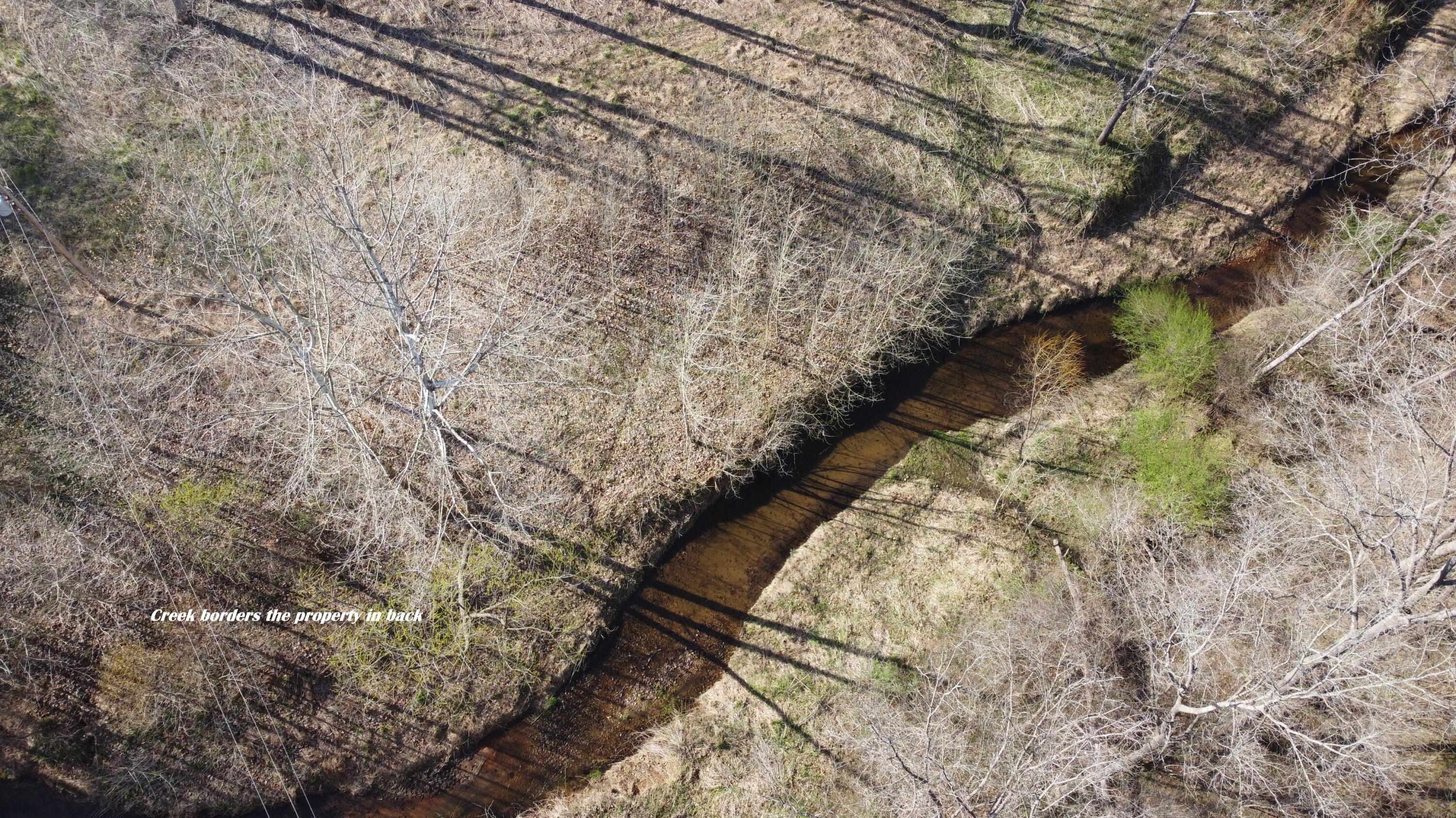 8180 Chatham Road Martinsville, VA 24112 - Photo 20 of 22 a view of a yard with a tree