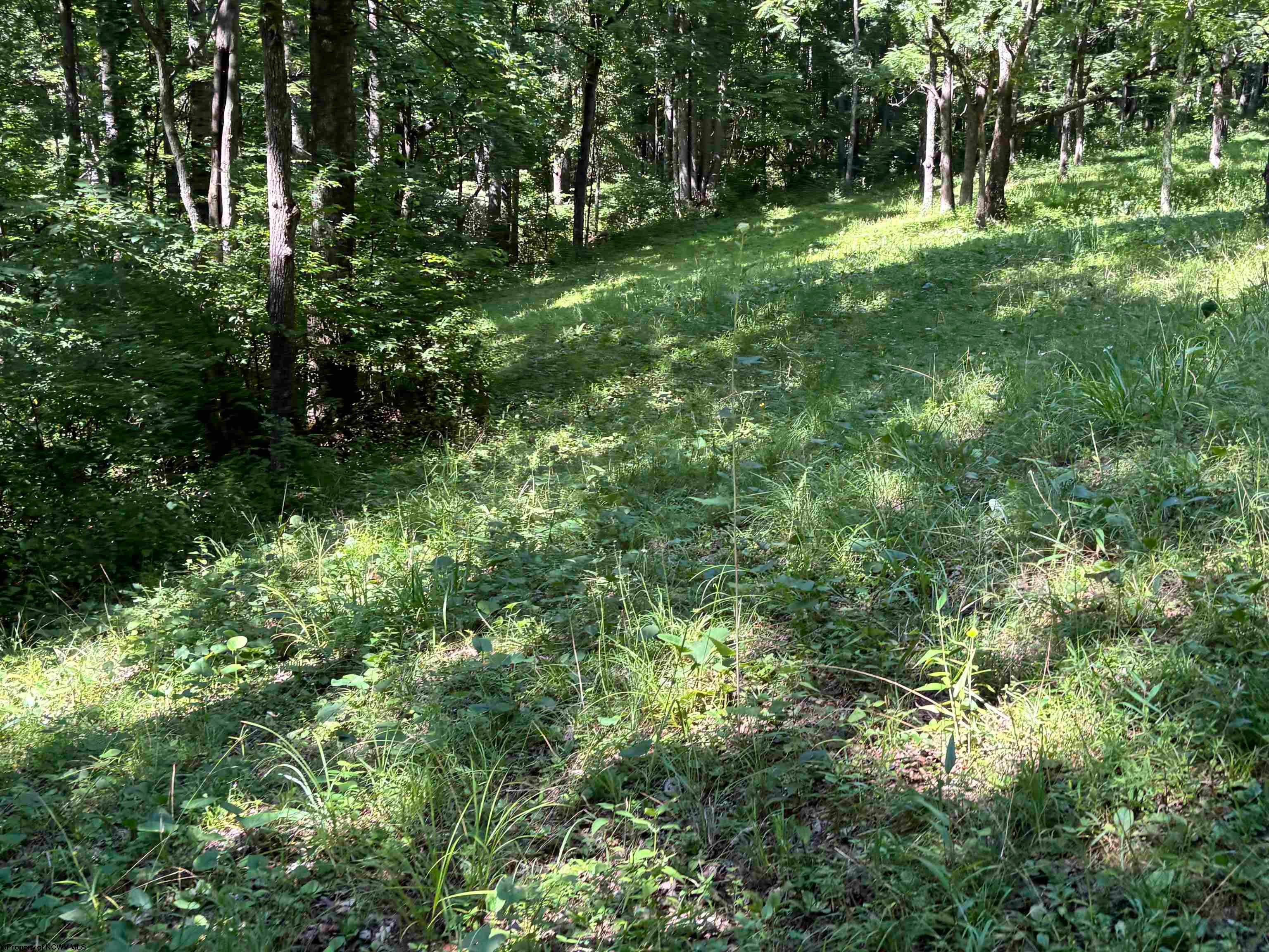 110 Danner Road Belington, WV 26250 - Photo 8 of 22 Gallery Image 8