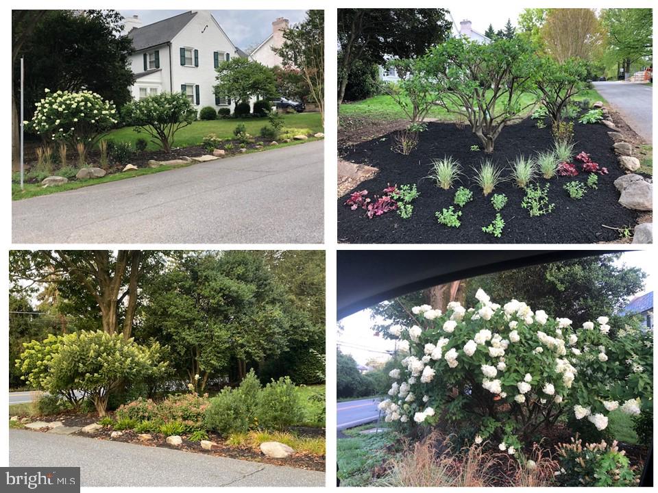 6400 Murray Hill Road Baltimore, MD 21212 - Photo 3 of 71 Lovely landscaping
